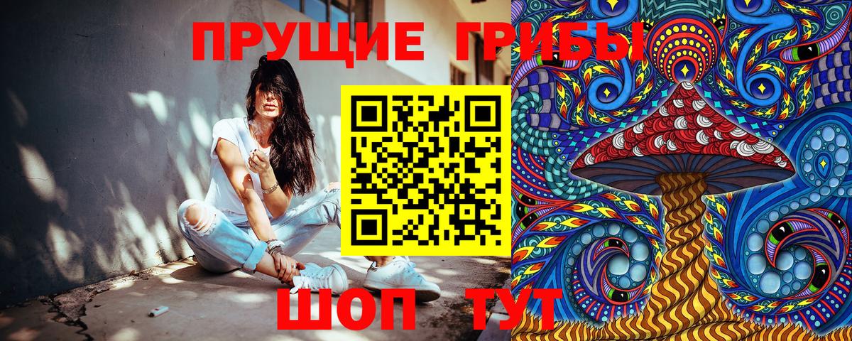 Псилоцибиновые грибы GOLDEN TEACHER  Псилоцибиновые грибы мицелий  Грозный  Вход с VPN 